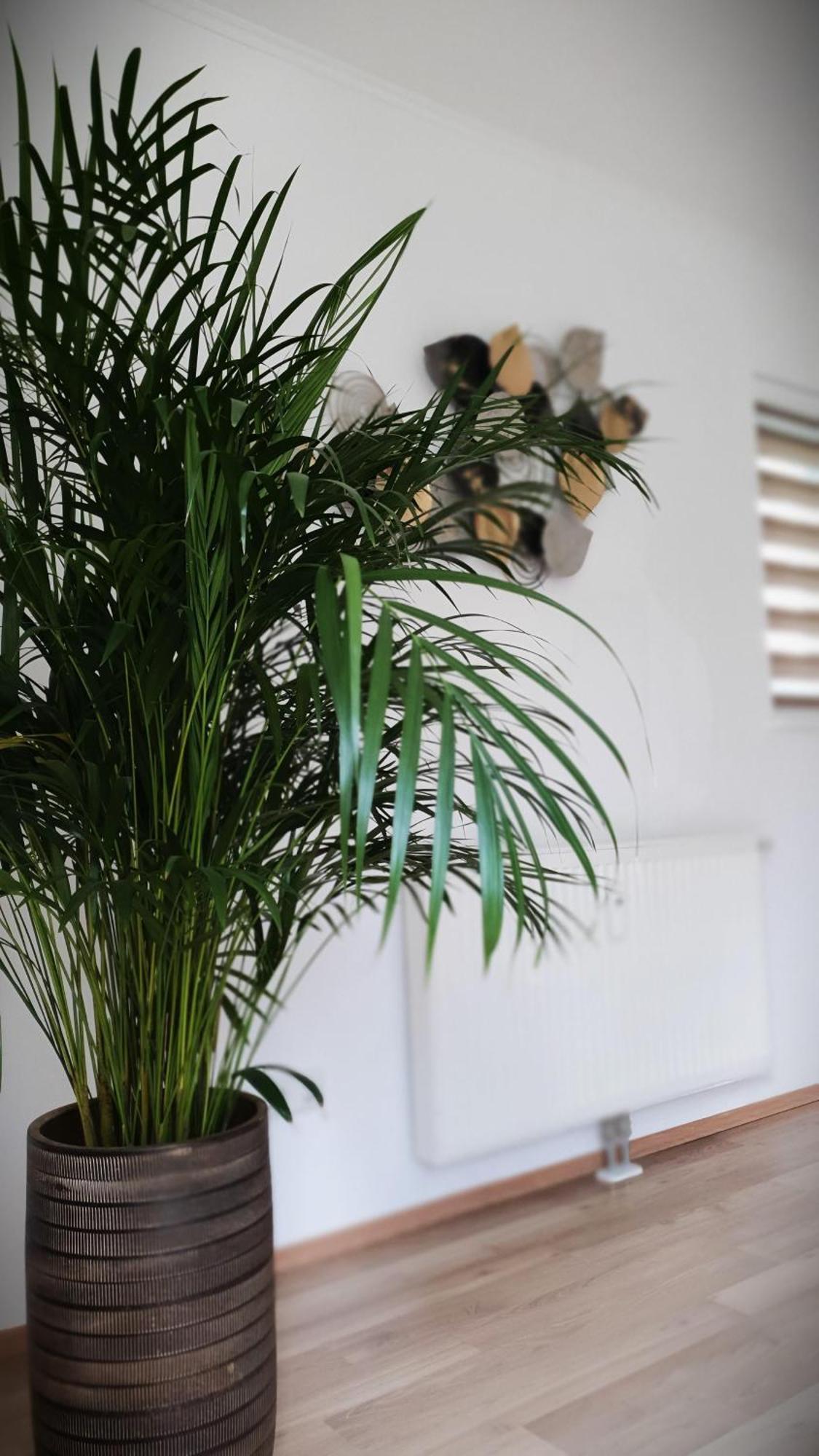Ferienwohnung Blick Ins Gruene Rossleithen Luaran gambar
