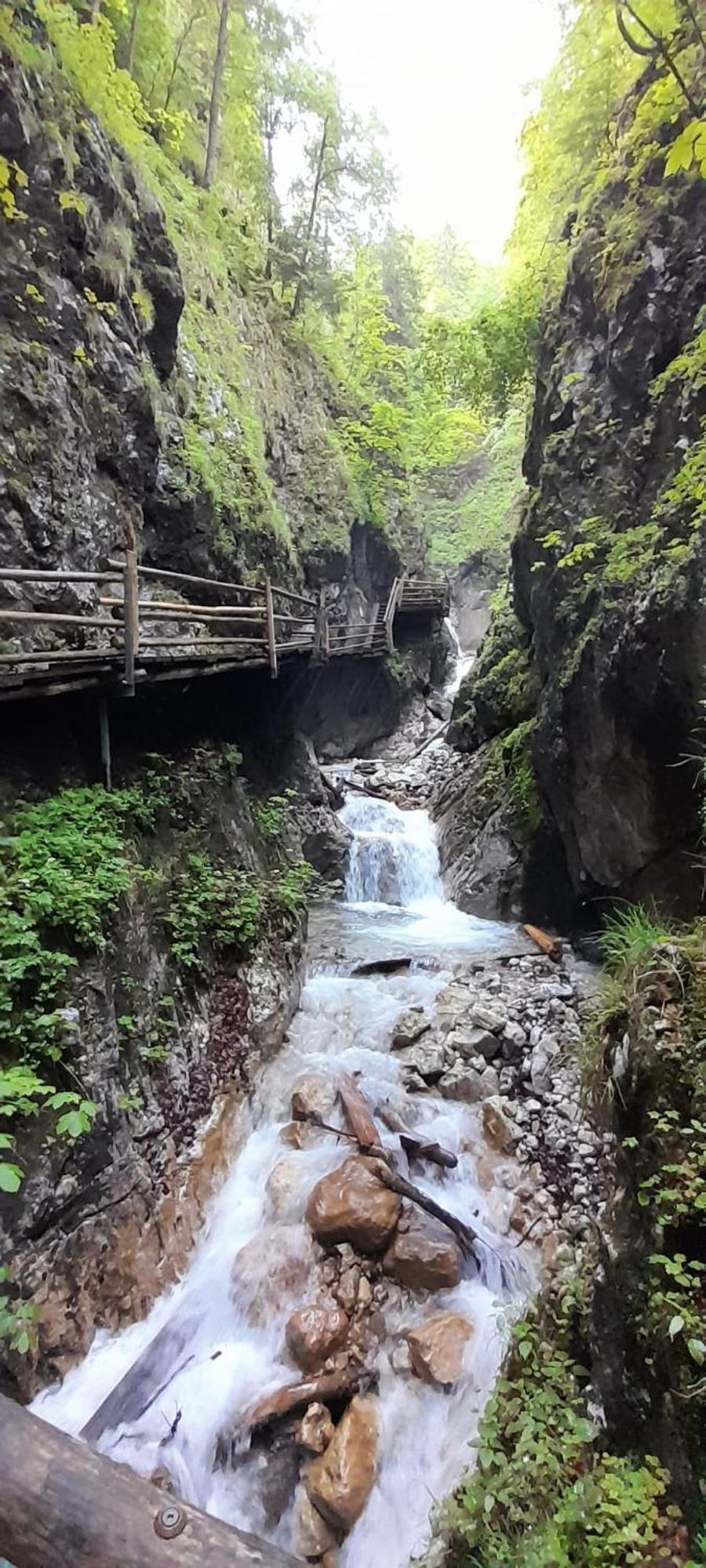 Ferienwohnung Blick Ins Gruene Rossleithen Luaran gambar