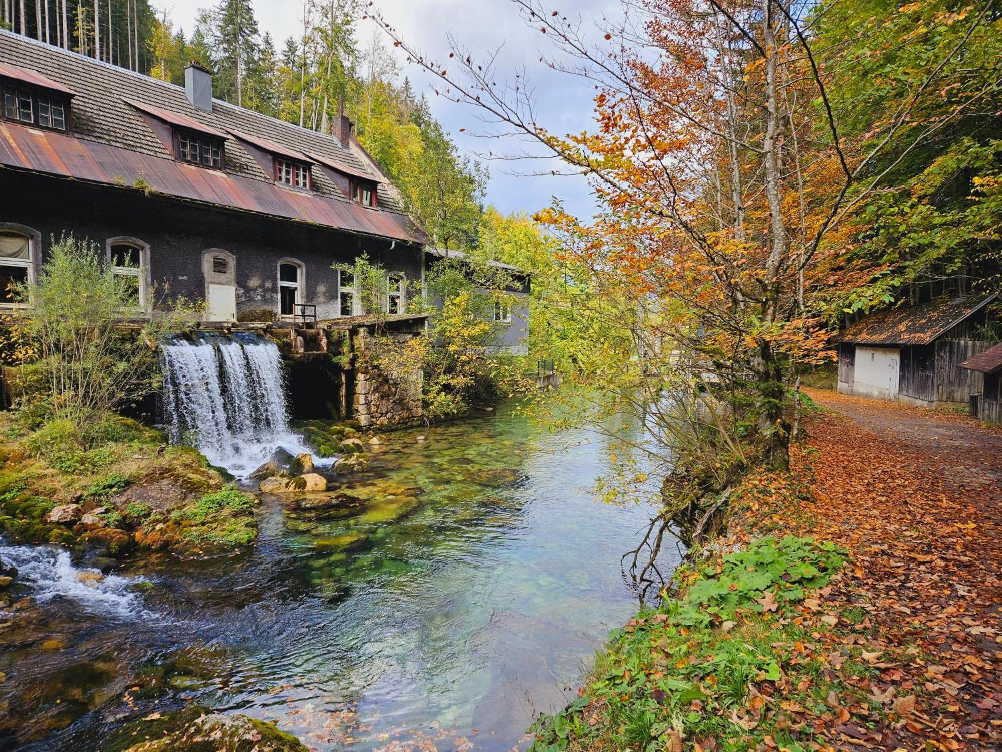 Ferienwohnung Blick Ins Gruene Rossleithen Luaran gambar